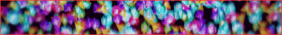 Banner Arvyx Survival x SMP