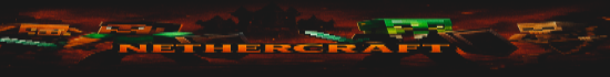 Banner NetherCraft | survival