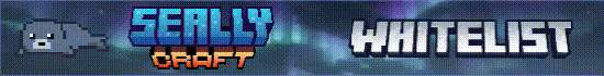 Banner SeallyCraft