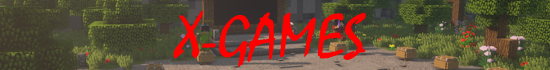 Banner X-Games