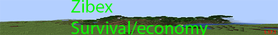 Banner ZIBEX [Survival/economy] 1.17.1