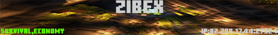 Banner ZIBEX 